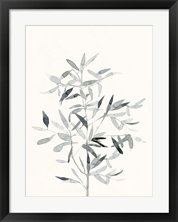 Framed Delicate Sage Botanical VI Print