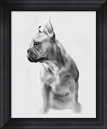 Framed Pug Portrait II Print