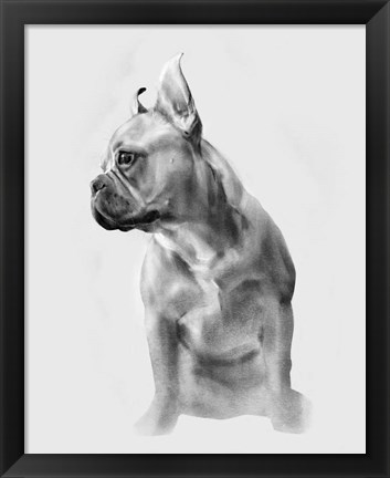 Framed Pug Portrait II Print