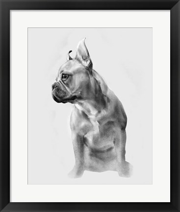 Framed Pug Portrait II Print