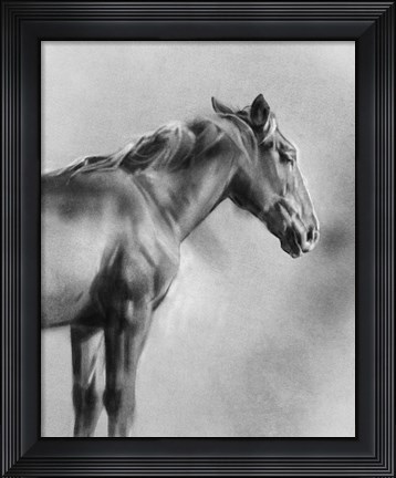 Framed Charcoal Equine Portrait I Print