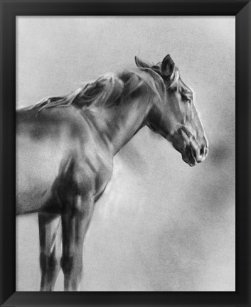 Framed Charcoal Equine Portrait I Print