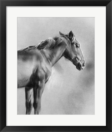 Framed Charcoal Equine Portrait I Print