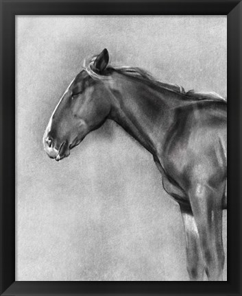 Framed Charcoal Equine Portrait II Print