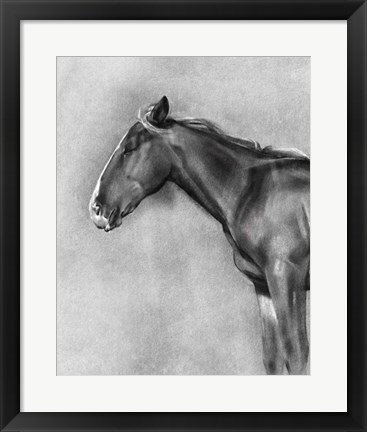 Framed Charcoal Equine Portrait II Print
