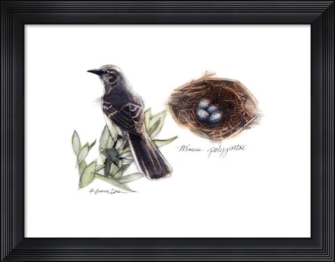 Framed Bird &amp; Nest Study I Print