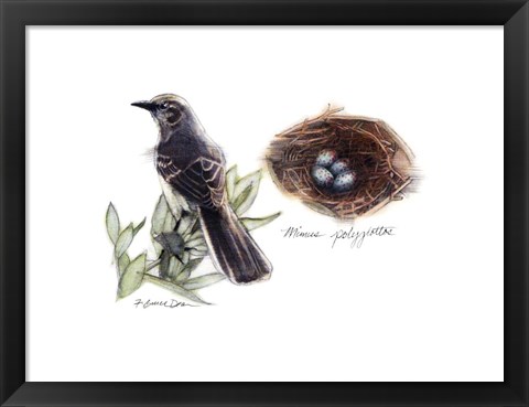 Framed Bird &amp; Nest Study I Print