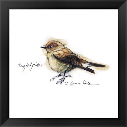 Framed Songbird Study I Print
