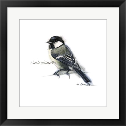 Framed Songbird Study II Print