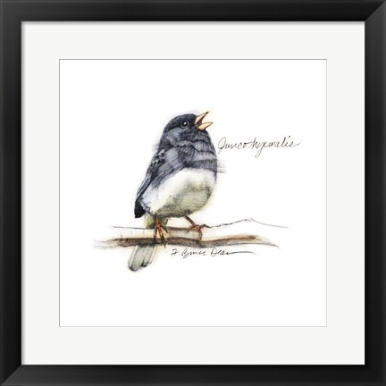 Framed Songbird Study VI Print