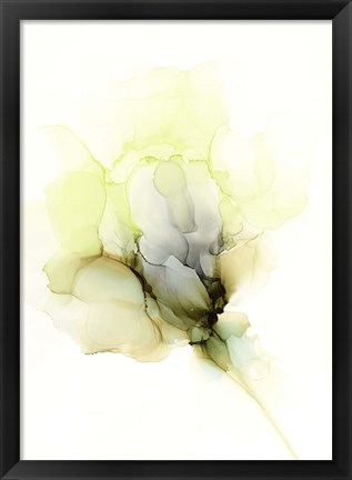 Framed Fluid Bloom II Print