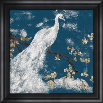 Framed White Peacock on Indigo I Print