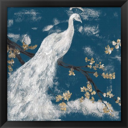 Framed White Peacock on Indigo I Print