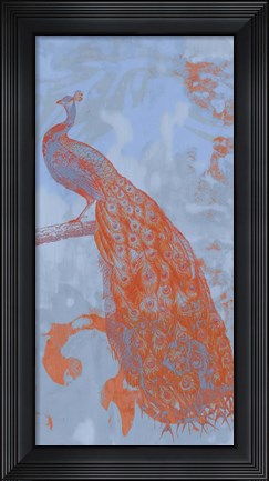 Framed Pop Peacock II Print