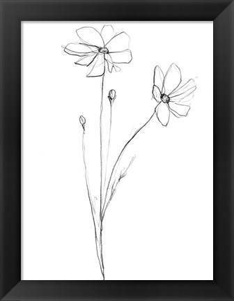 Framed Stem Contour III Print