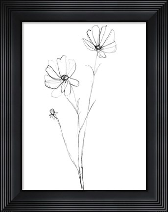 Framed Stem Contour IV Print