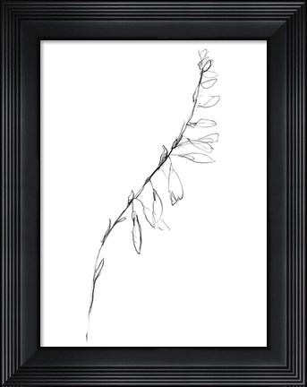 Framed Stem Contour V Print
