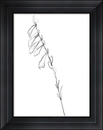 Framed Stem Contour VI Print