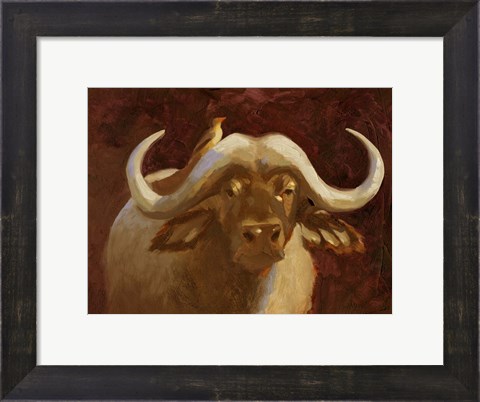 Framed Cape Buffalo I Print