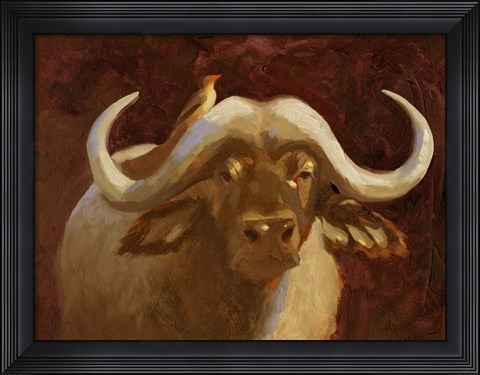 Framed Cape Buffalo I Print