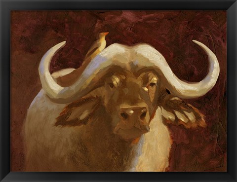 Framed Cape Buffalo I Print