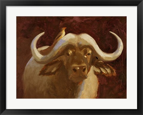 Framed Cape Buffalo I Print