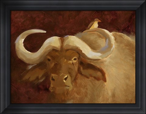 Framed Cape Buffalo II Print