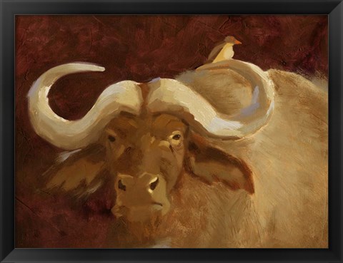 Framed Cape Buffalo II Print