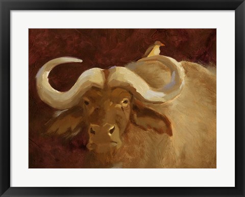 Framed Cape Buffalo II Print