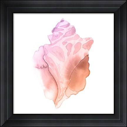 Framed Sunset Conch I Print