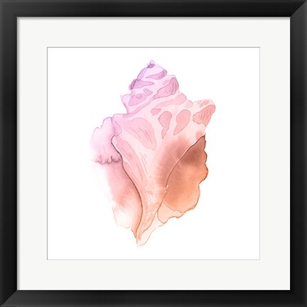 Framed Sunset Conch I Print