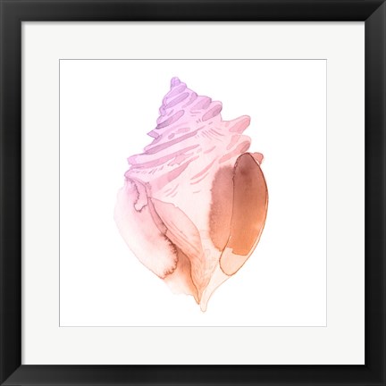 Framed Sunset Conch II Print