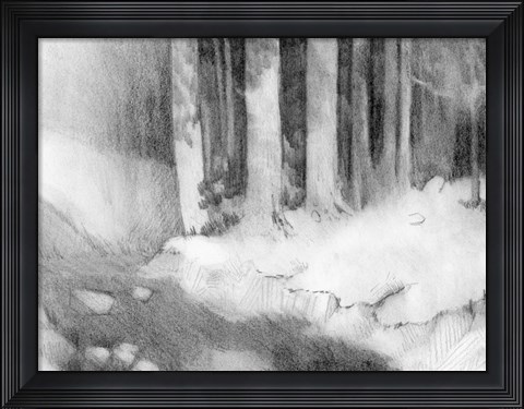 Framed Graphite Glade I Print