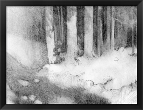 Framed Graphite Glade I Print