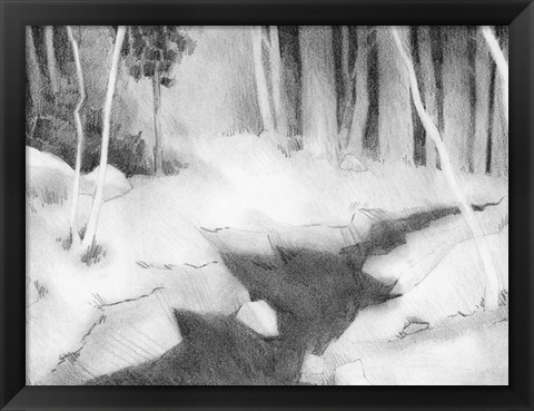 Framed Graphite Glade II Print