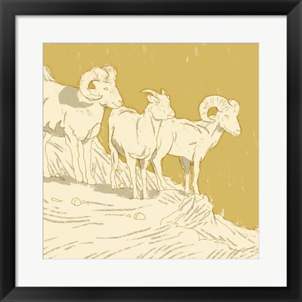 Framed Big Horn I Print
