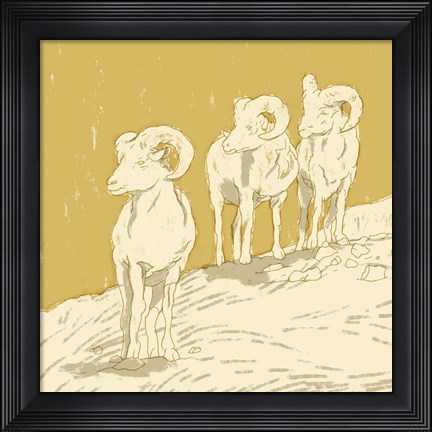 Framed Big Horn II Print