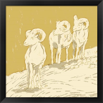 Framed Big Horn II Print