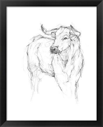 Framed Bull Study I Print