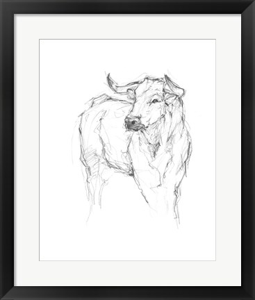 Framed Bull Study I Print