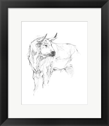 Framed Bull Study II Print
