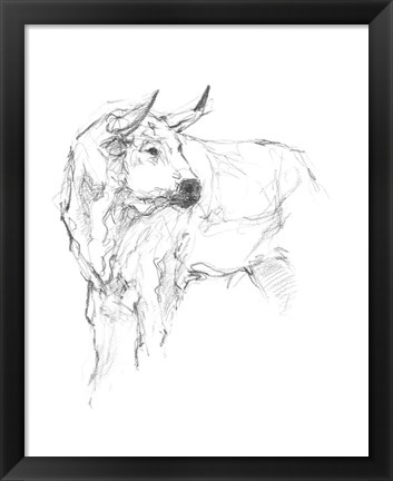Framed Bull Study II Print