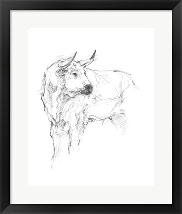 Framed Bull Study II Print