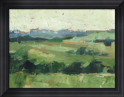 Framed Tree Line Vista II Print