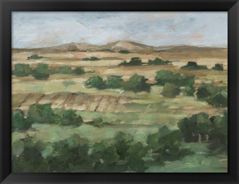 Framed Valley Fields II Print