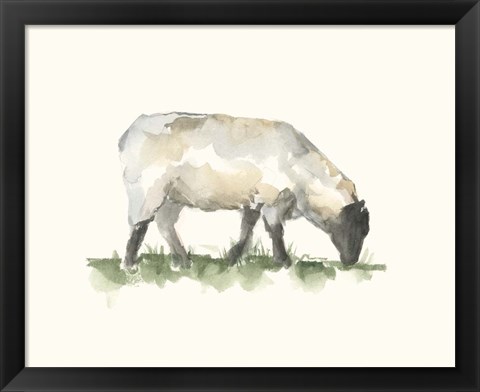 Framed Grazing Farm Animal III Print