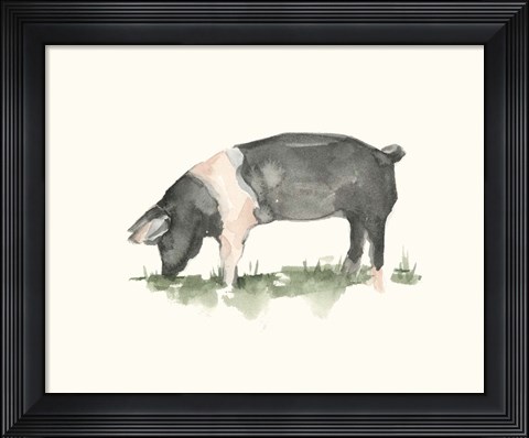 Framed Grazing Farm Animal IV Print