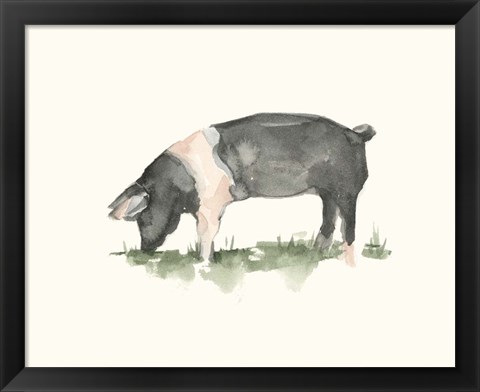Framed Grazing Farm Animal IV Print
