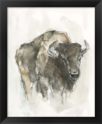 Framed American Buffalo I Print