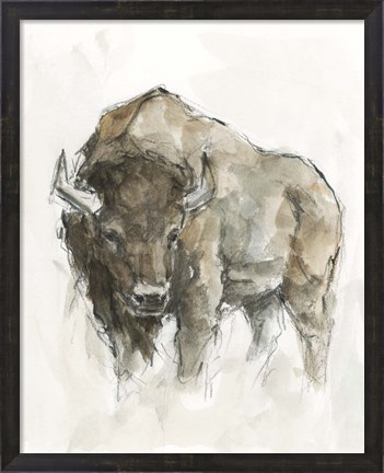 Framed American Buffalo II Print